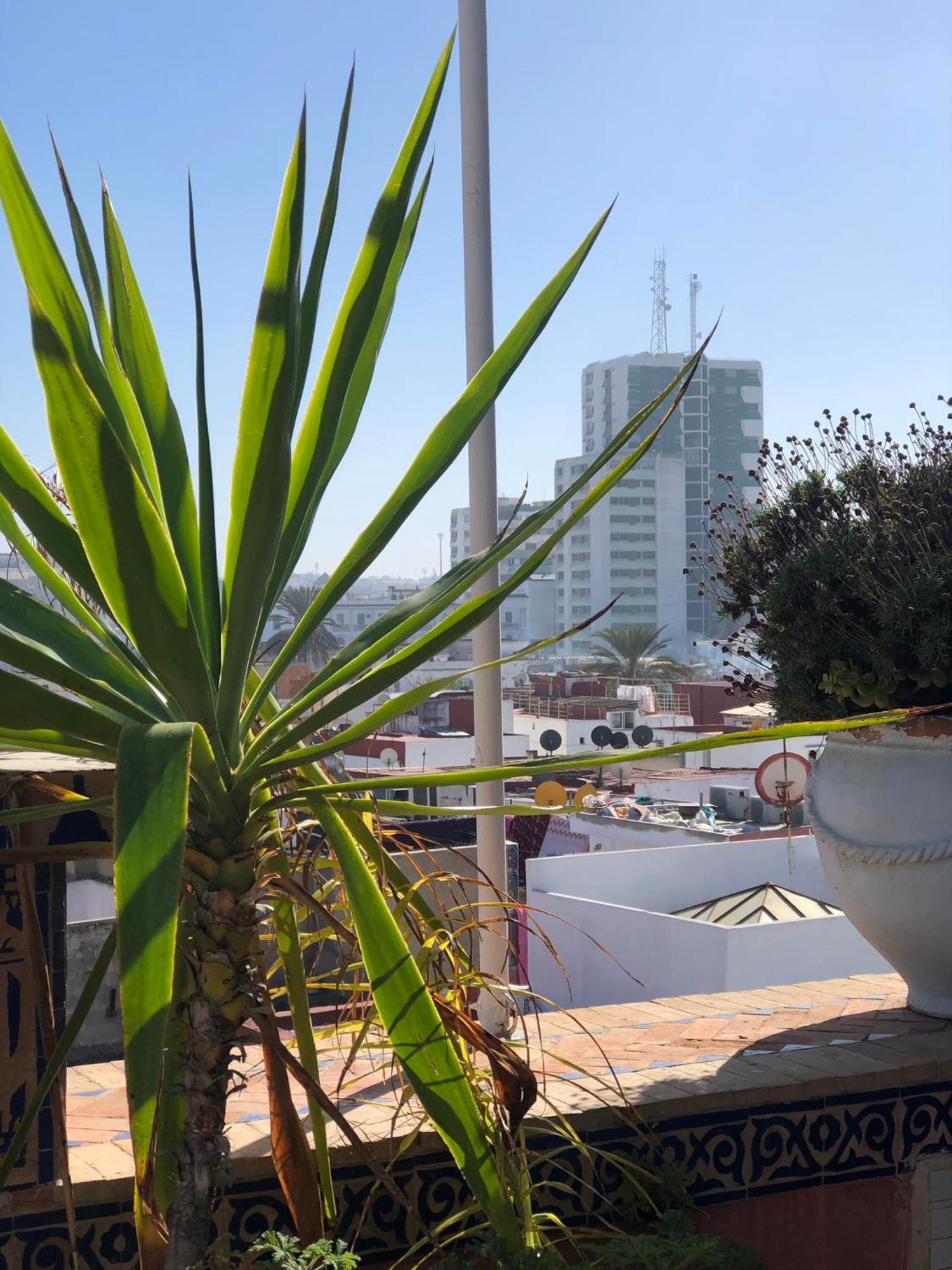 Riad Razoli Sidi Fateh Rabat Eksteriør billede